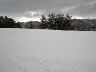 住んでいるところの近く・・・