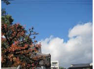 IMG_0587