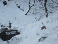 2014.12saru1IMG_1468
