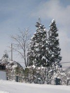 2014.12yukiyamaIMG_1469